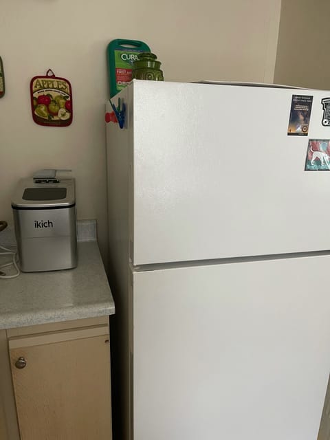 Ice Maker to make ice cold drinks all day long!