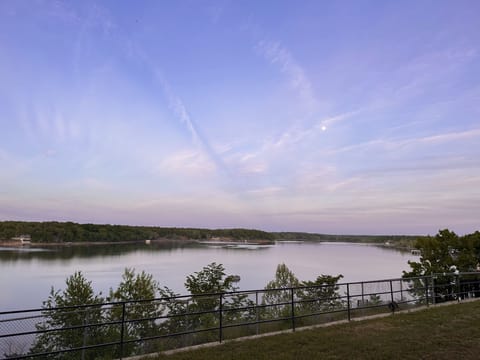 Elevated Over the tree tops.