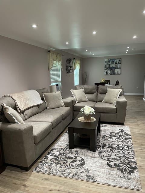 Large living room with a window AC, comfortable couches, 58" Roku TV, etc.