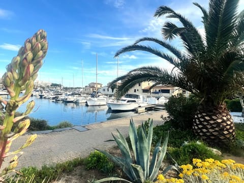 Marina