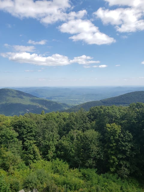 View from the balcony.