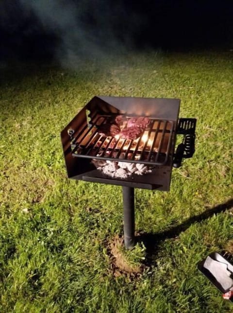 Park style grill in side yard