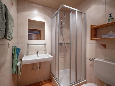 Doppelzimmer mit Dusche, WC - Landhaus Elfi Apartment in Salzburgerland