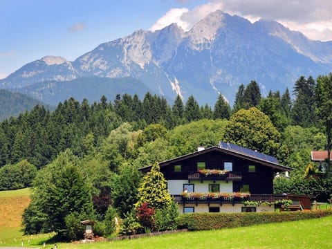 Double room with shower, WC - Guesthouse - Pension Hölzl Apartment in Salzburgerland