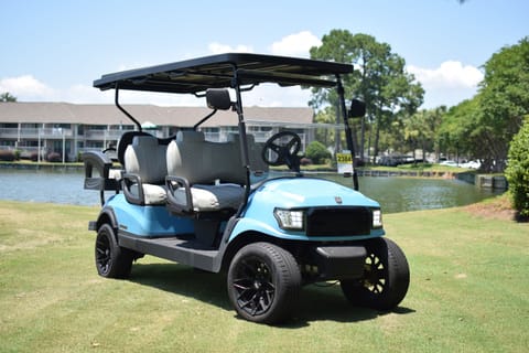 6 Seat Cart