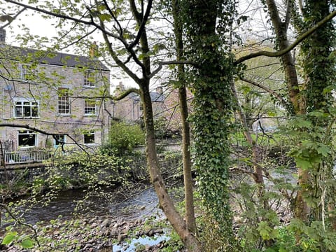 The Riverside Tailor’s Cottage from the wooded far bank of the Roeburn