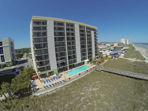 Wave at the seagulls as they fly by your Oceanfront Condo. 