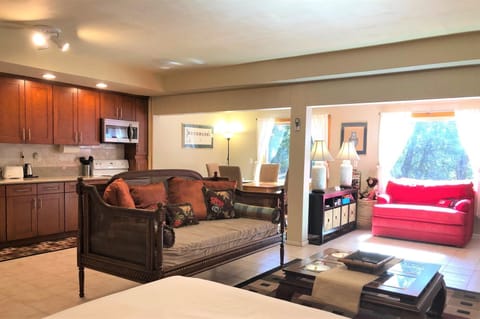 Back view and the windows