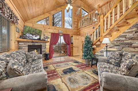 Spacious Cozy Living Space with Pull Out Sofa to sleep 1-2 guests