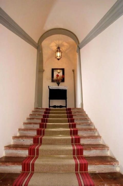 Stairs, Interior Design, Building, Houseplant, Plant, Wood, Flooring, Door, Ceiling