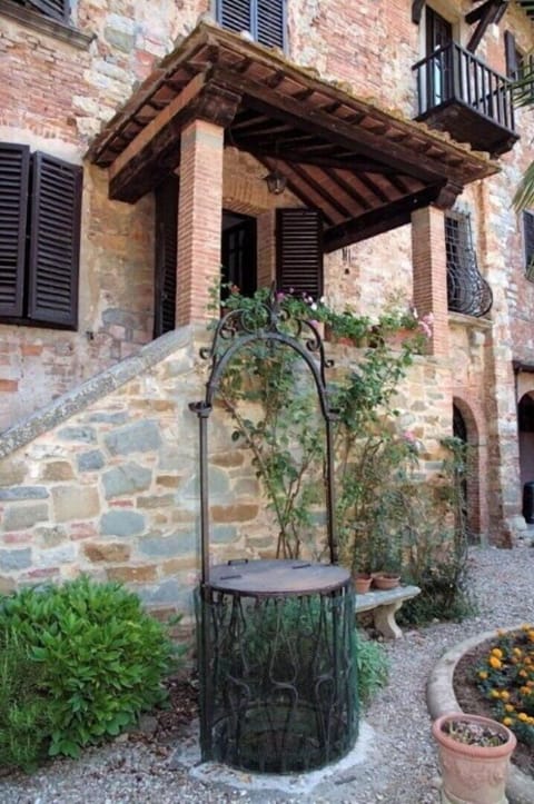 Plant, Property, Building, Flowerpot, Window, Azure, Houseplant, Wood, Road Surface, Wall