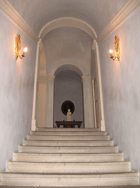 Stairs, Building, Wood, Line, Symmetry, Tints And Shades, Ceiling, Arch