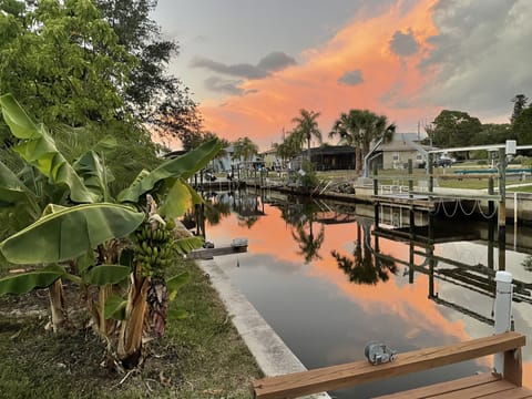 Beautiful canal views from the back yard