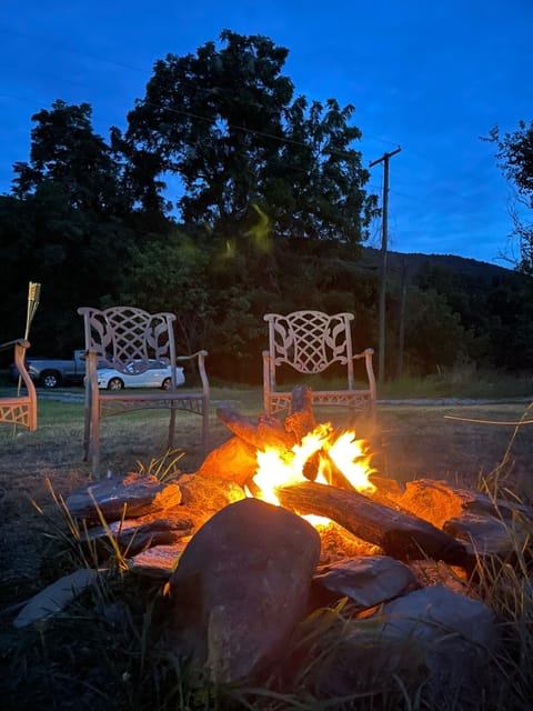Fire pit 