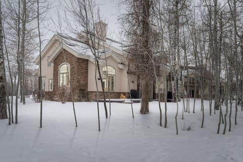 Winter Aspens