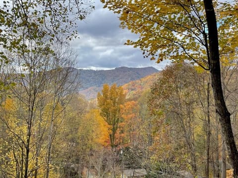 View from Dogwood House