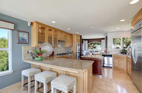 Large chef kitchen with premium appliances.