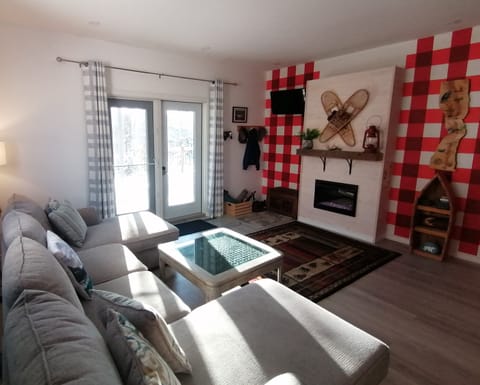 Lower level living room with access to backyard and large patio