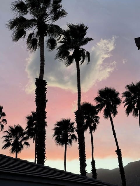 Courtyard Sunset
