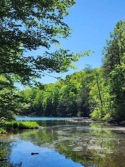 Waterfront cabin in Lake Lure/Riverbend Community. Sleeps 10