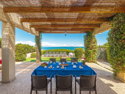Plant, Furniture, Property, Botany, Table, Sky, Chair, Azure, Blue, Shade