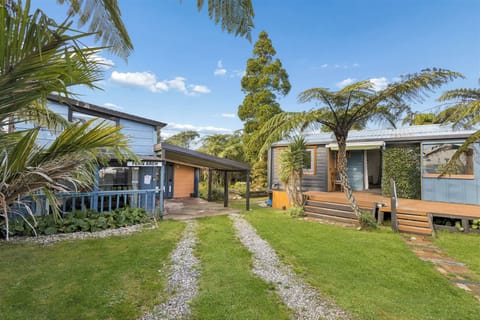 landscaped garden with kauri, nikau, ferns