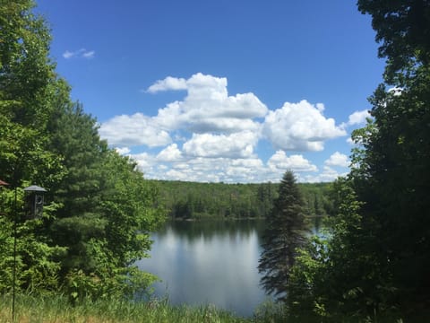 BRONSON LAKE - Home to beautiful cloud formations