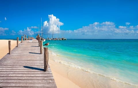 Beach