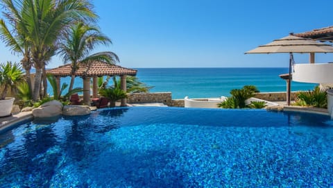Infinity pool overlooking the ocean with palm trees and endless views.