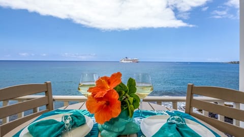 Enjoy this aquarium at your fingertips. BEST VIEW IN KONA! 