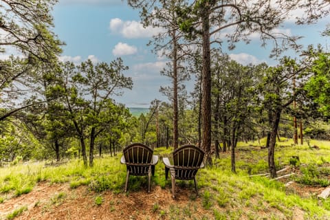 Welcome to Four Cubs! Mountain Vista Views