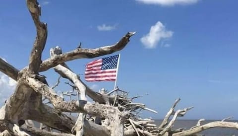 Driftwood beach is the #3 best beach in USA!
#12 in the World! Trip Advisor 