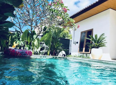 Inflatable pool toys available to hire