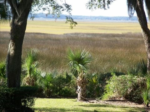Marsh and Intercoastal View from Back Deck