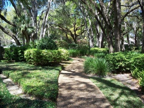 Walkway in Front of Villa
