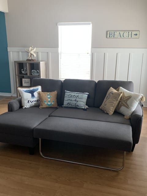 Couch or full size sleeper