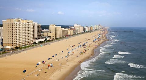 Soak in sweeping ocean views along a vibrant beachfront skyline.