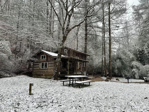 Snowy View of White Pines