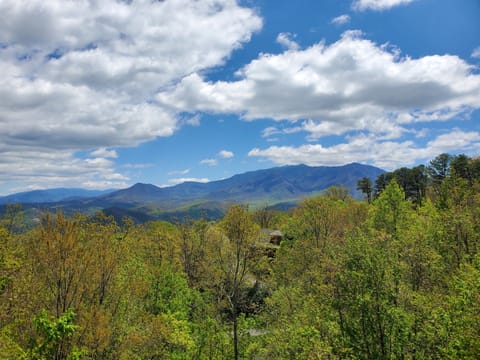 Beautiful early spring view.