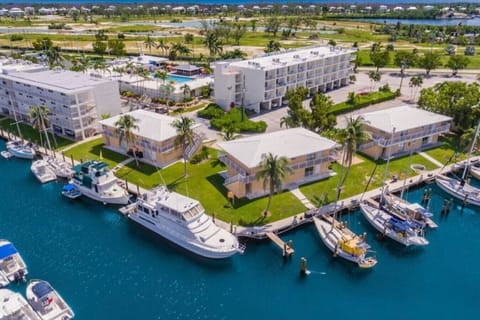 Drone shot of Skipjacks Marine & Resort.