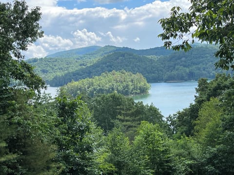 View from front porch 