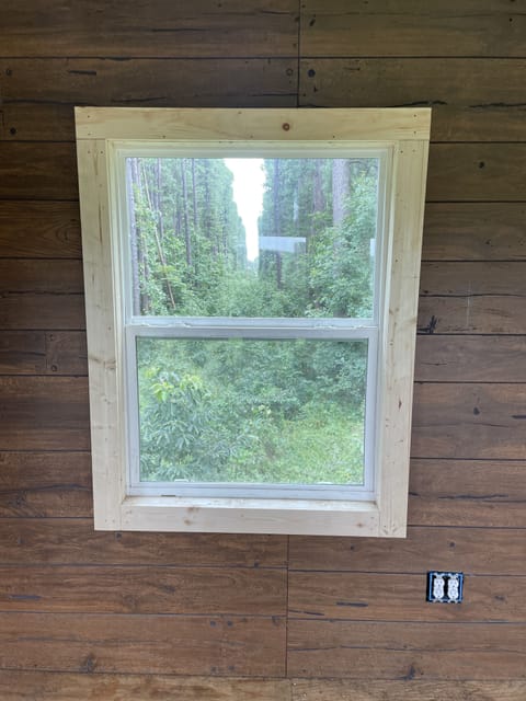View into the national forest from the tree lodge