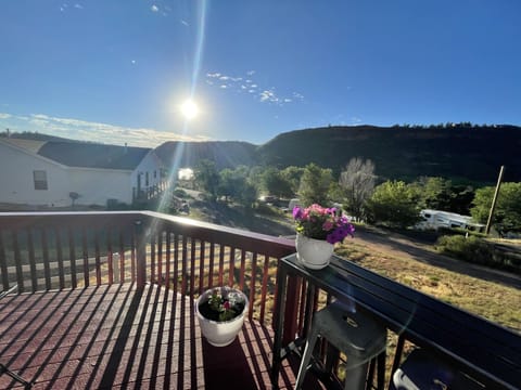 Morning views