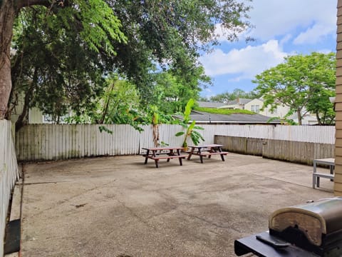 Rear courtyard shared with upstairs unit.