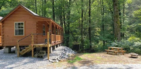 The path down to the creek and our bald knob hiking trails
