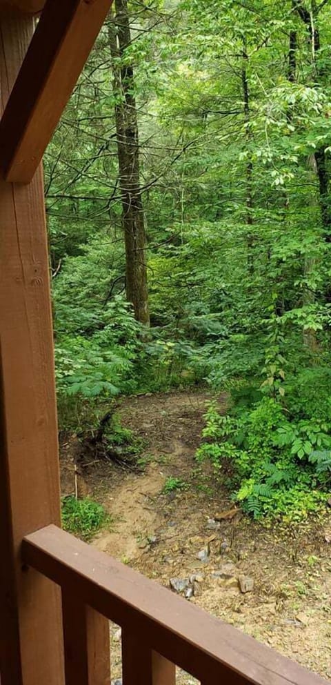 c8b86da0-8562-4223-9491-7e766e63d287