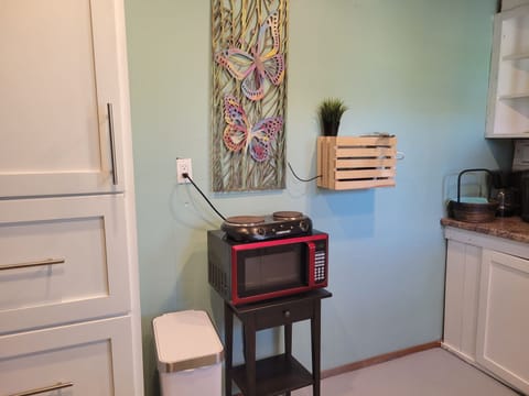 Microwave and 2 burner hot plate.