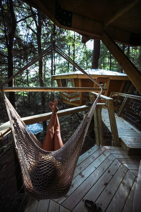 View From The Swing Chair