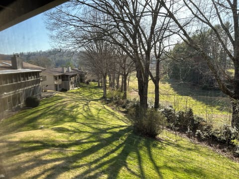 View from the screen porch