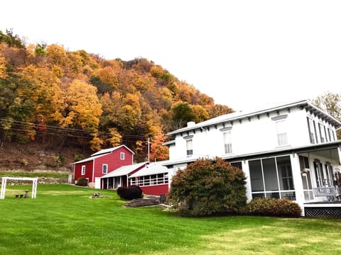 Autumn splendor 🍂